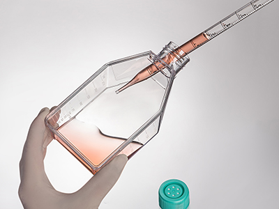 斜頸設(shè)計(jì)，易于傾倒，方便移 液管和細(xì)胞刮刀的進(jìn)出