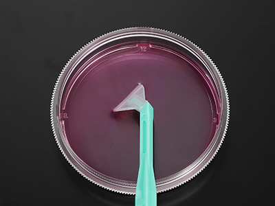 可自由旋轉(zhuǎn)刀片，能刮取各個角落，收獲細胞