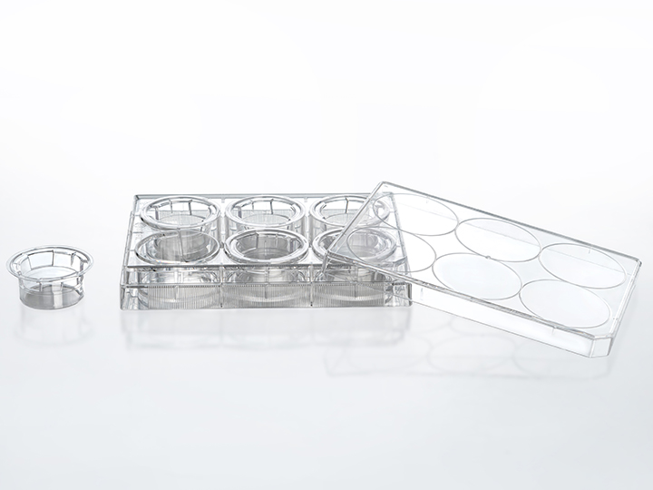 內(nèi)頁(yè)720×540 拷貝2.jpg