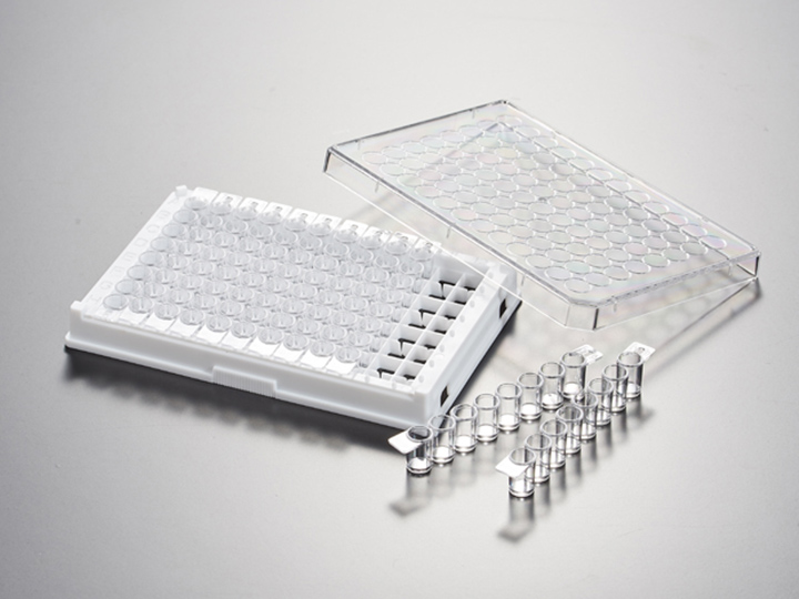 內(nèi)頁720×540 拷貝.jpg